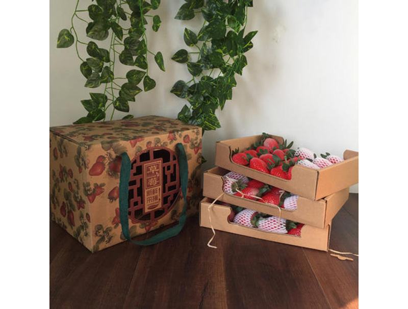 水果包(bāo)裝盒
